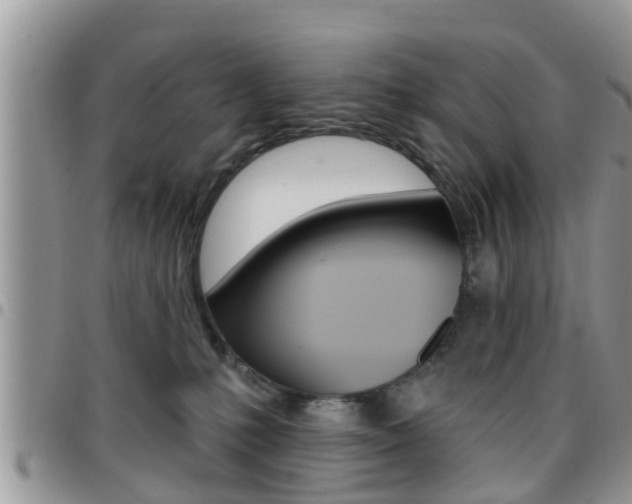 X0000096190231200801181016