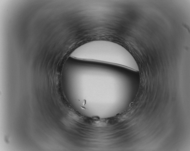 X0000096190232200801181016