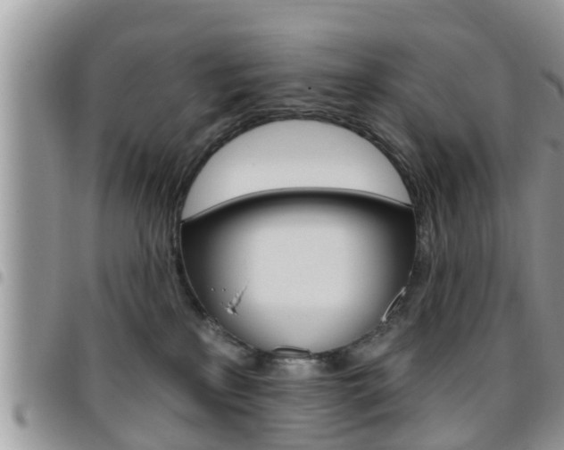 X0000096190233200801181016