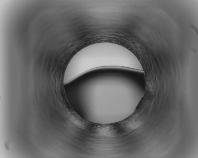 X0000096190235200801181016
