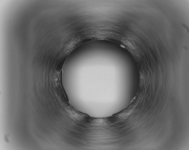 X0000096190237200801181015
