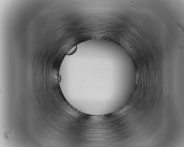 X0000096190238200801181015
