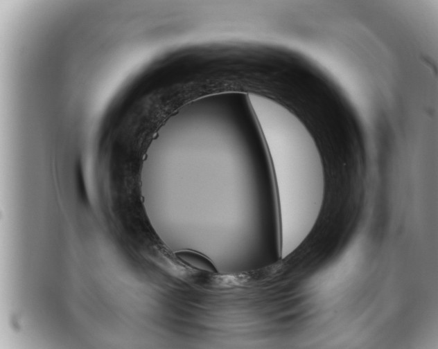 X0000096190239200801181015