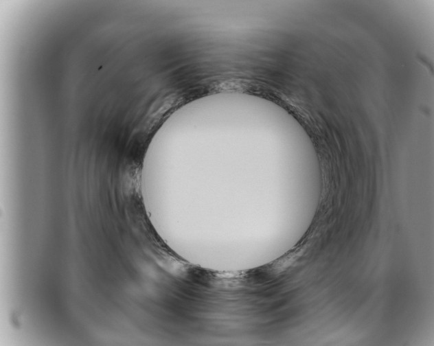 X0000096190240200801181015