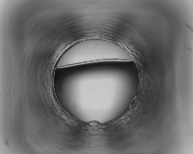 X0000096190241200801181015