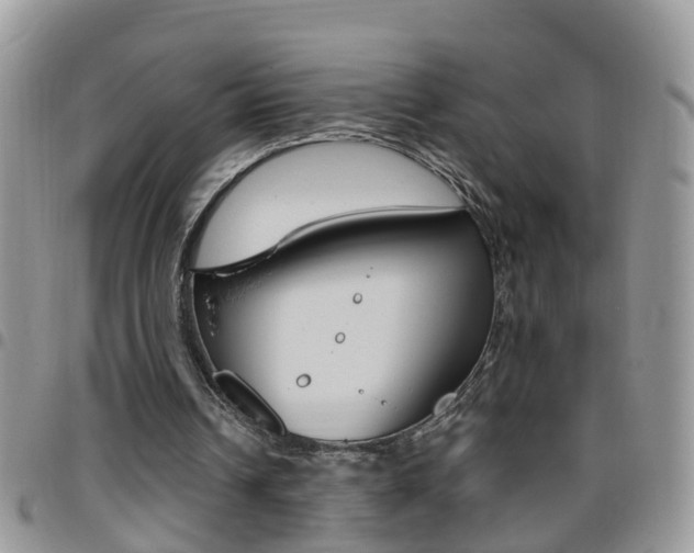 X0000096190242200801181015