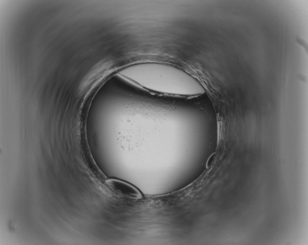 X0000096190243200801181015