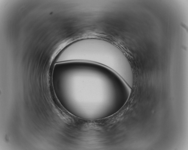 X0000096190244200801181015