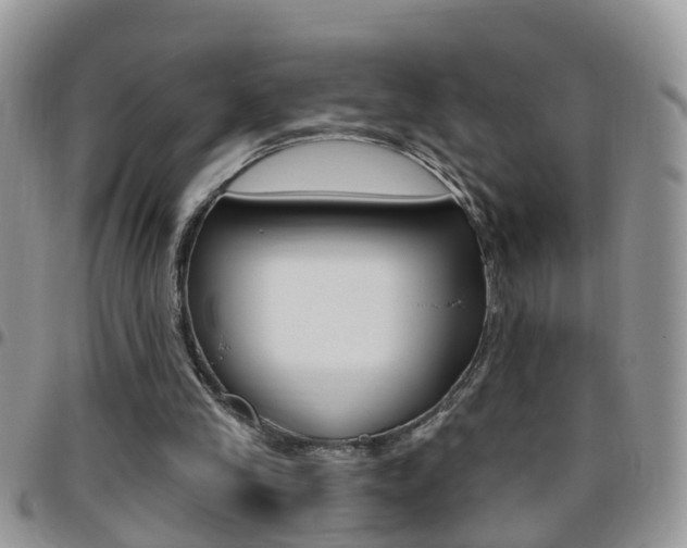 X0000096190245200801181015
