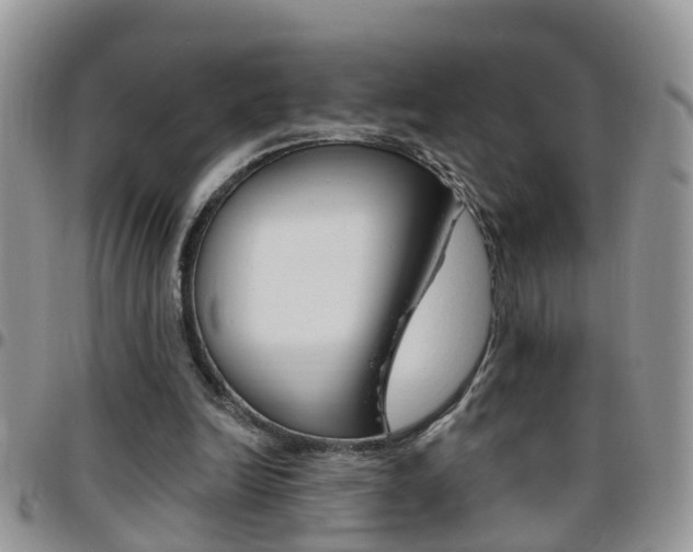 X0000096190246200801181015