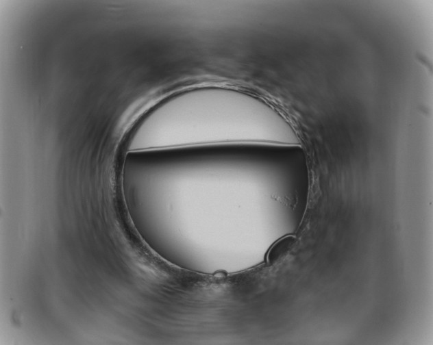 X0000096190247200801181015