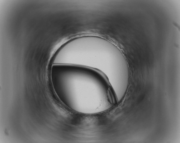 X0000096190248200801181015