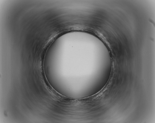 X0000096190249200801181015