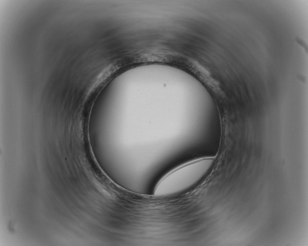 X0000096190250200801181015