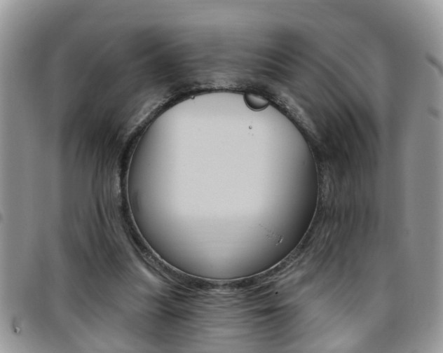 X0000096190251200801181015