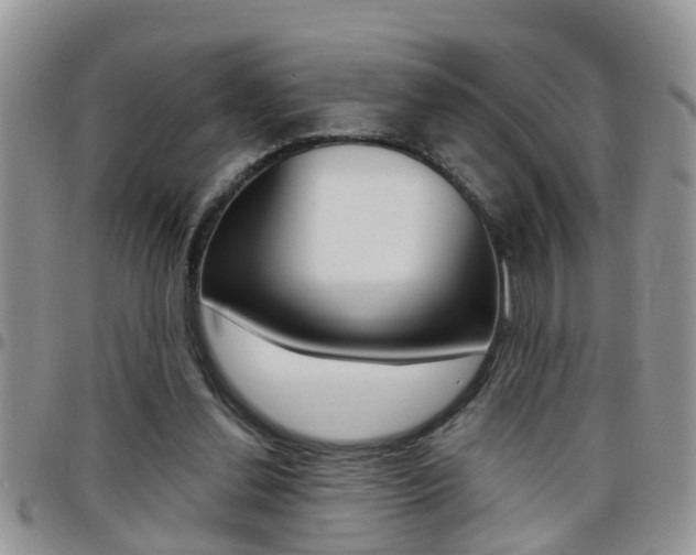X0000096190252200801181015