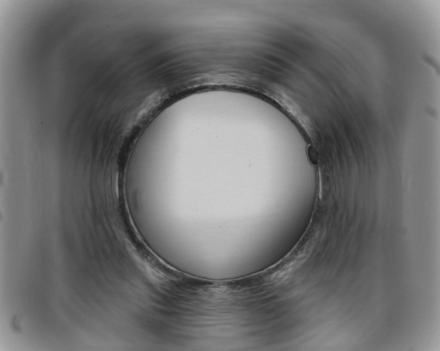 X0000096190253200801181015