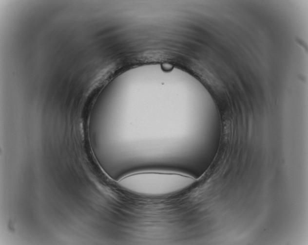 X0000096190254200801181015