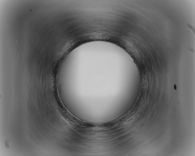 X0000096190255200801181015