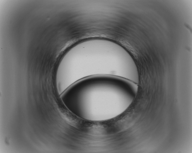X0000096190256200801181015
