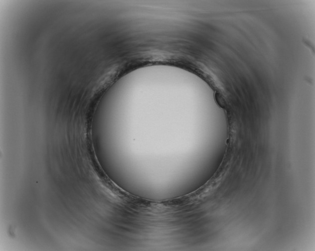 X0000096190257200801181015