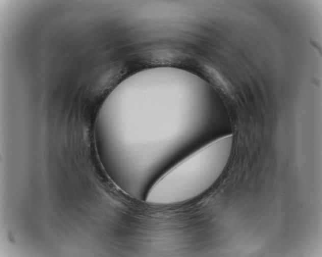 X0000096190258200801181015
