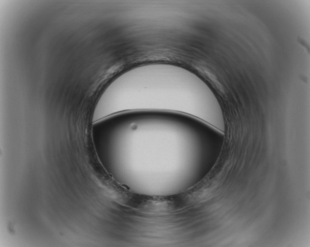 X0000096190260200801181015