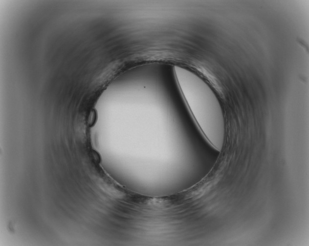 X0000096190261200801181015