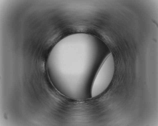 X0000096190262200801181015