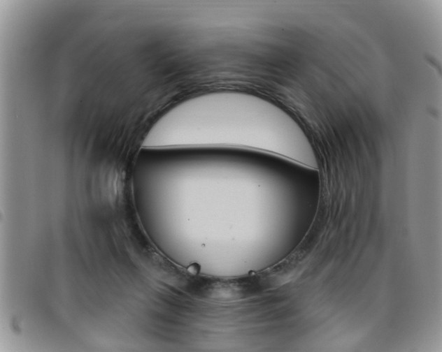 X0000096190263200801181015