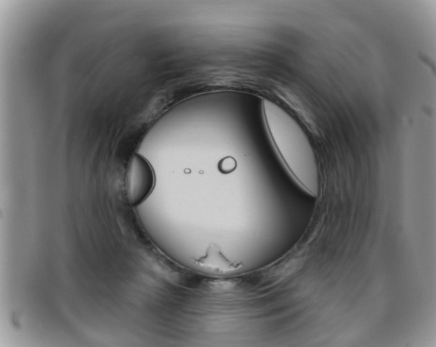 X0000096190265200801181015