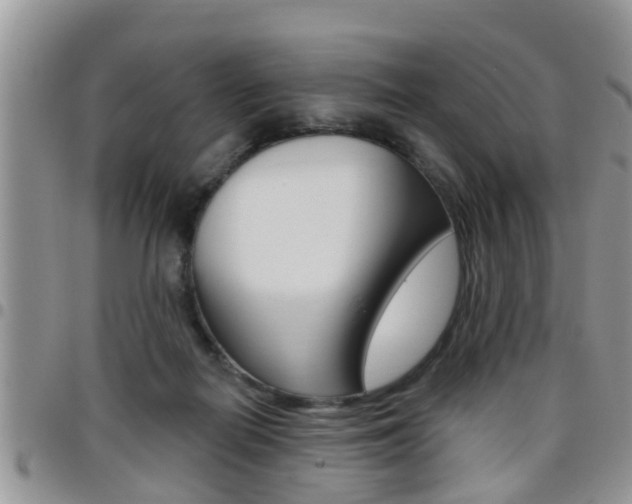 X0000096190266200801181015