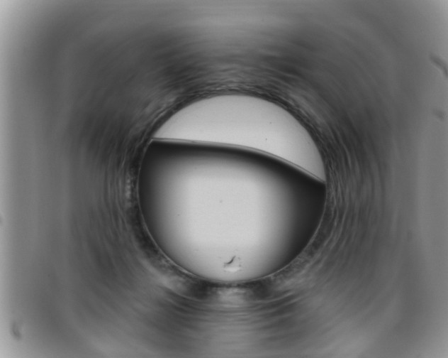 X0000096190268200801181015