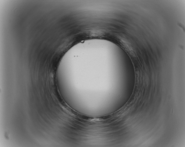 X0000096190269200801181015