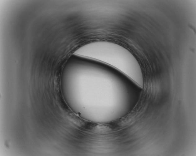 X0000096190270200801181015