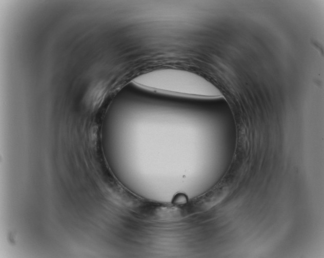 X0000096190271200801181015