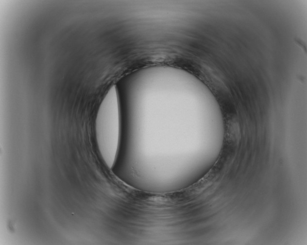 X0000096190272200801181015