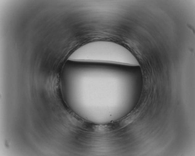 X0000096190273200801181015