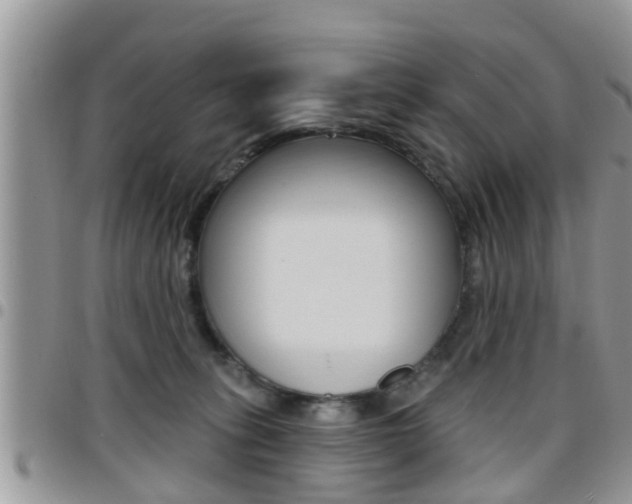 X0000096190275200801181015