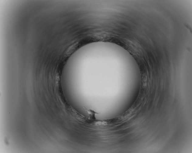 X0000096190279200801181015