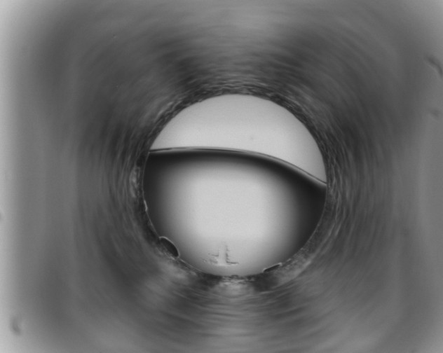 X0000096190280200801181015