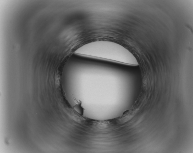X0000096190282200801181015