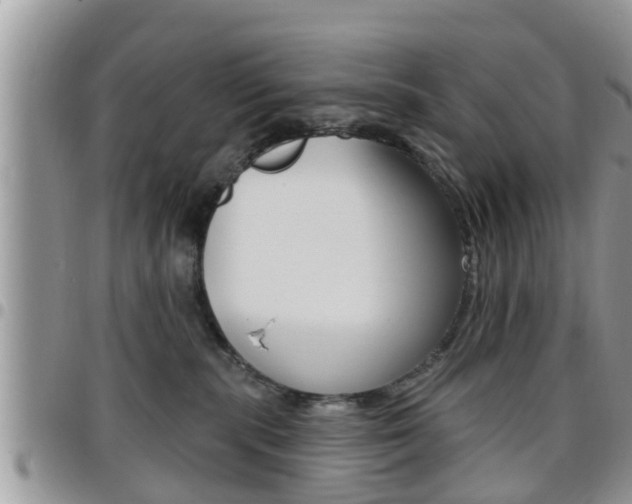 X0000096190283200801181015