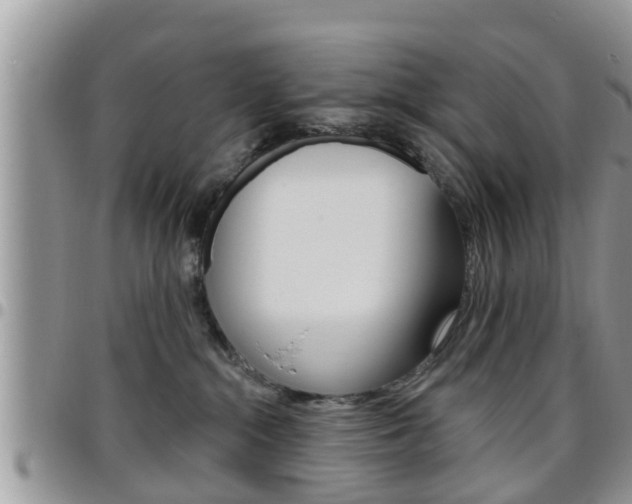 X0000096190284200801181015