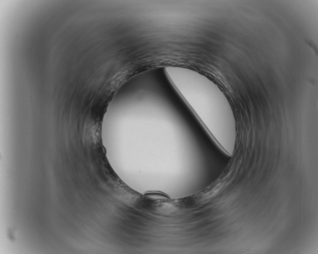 X0000096190285200801181015