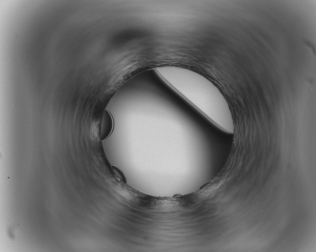 X0000096190286200801181015
