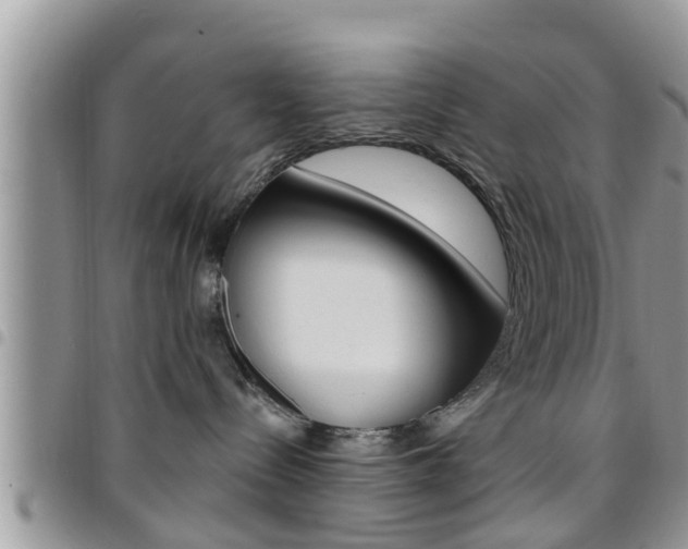 X0000096190288200801181015