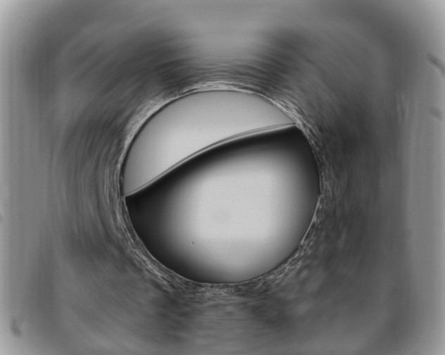 X0000096190289200801181015