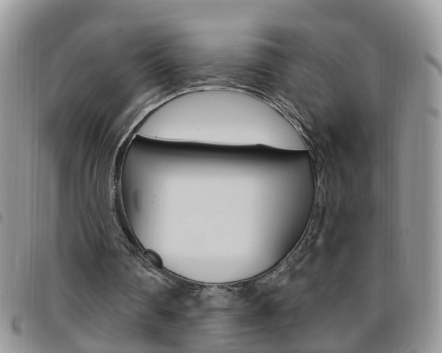 X0000096190290200801181015