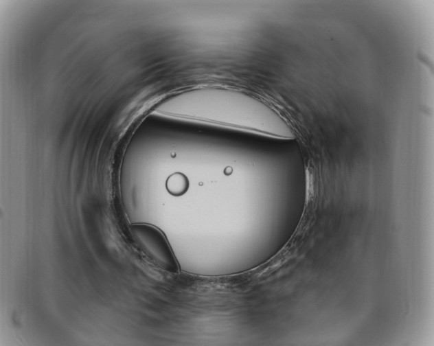 X0000096190291200801181015